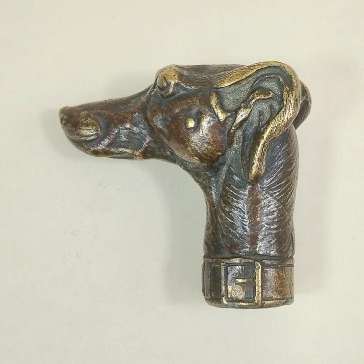 Bronzen hoofdpommel van een windhond uit 1900, Antiek en Kunst, Antiek | Overige Antiek, Ophalen of Verzenden