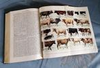 antiquarische boeken gratis encyclopedie, Ophalen, Oosthoek