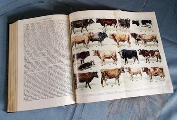 antiquarische boeken gratis encyclopedie beschikbaar voor biedingen
