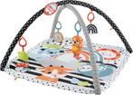 Speelmat  van Fisher Price  3 in  1, Kinderen en Baby's, Ophalen, Gebruikt