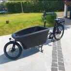Bakfiets Dolly, Fietsen en Brommers, Ophalen, Gebruikt, 2 kinderen, Elektrisch