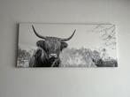 Fotokader Schotse highlanders, Ophalen, Nieuw, Print, 75 cm of meer