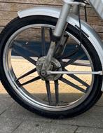 Rigida velgen, Enlèvement