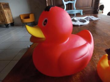 Badeend + 3 kleine eendjes, Enlèvement, Neuf