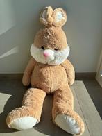 Reuze Teddy Paashaas / Konijn, Ophalen of Verzenden, Nieuw, Konijn