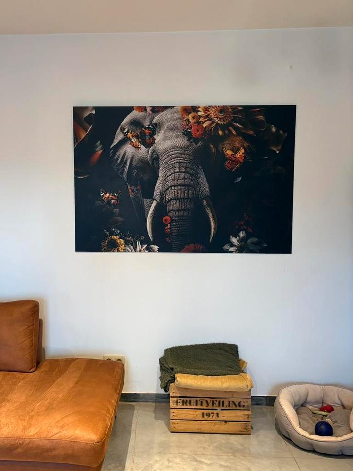 Alu-dibond schilderij olifant, Antiek en Kunst, Kunst | Schilderijen | Abstract, Ophalen