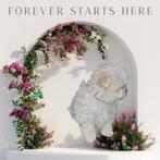 Maltezer kruising-==Maltipom  GERESERVEERD, Dieren en Toebehoren, België, Maltezer, Fokker | Hobbymatig, 8 tot 15 weken