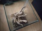 GERESERVEERD aquaria +toebehoren, Dieren en Toebehoren, Ophalen, Gebruikt, Leeg aquarium