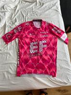 EF Education Easypost 2025 shirt, Fietsen en Brommers, Fietsaccessoires | Fietskleding, Ophalen, Heren, L, Bovenkleding
