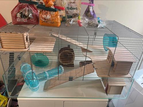 Hamster- en muizenkooi, Dieren en Toebehoren, Knaagdieren en Konijnen | Hokken en Kooien, Zo goed als nieuw, Kooi, Minder dan 60 cm