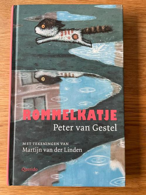 Peter van Gestel - Rommelkatje, Boeken, Kinderboeken | Jeugd | 10 tot 12 jaar, Zo goed als nieuw, Fictie, Ophalen
