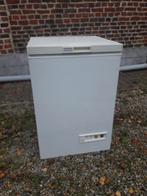 Diepvries Zanker, Elektronische apparatuur, Vriezers en Diepvrieskisten, Ophalen, Vrieskist, Gebruikt, Minder dan 85 cm