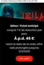2 place pour walibi Ibilaw, Tickets & Billets