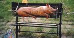 Spit voor speenvarkentje max 20kg/1m, Ophalen, Gebruikt