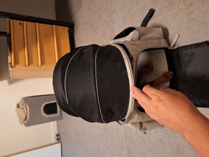 Draagtas rugzak voor kleine hondjes, Dieren en Toebehoren, Honden-accessoires, Zo goed als nieuw, Ophalen