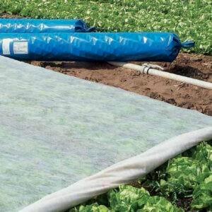 Voile de forcage P19 ou voile d’hivernage pour plantes