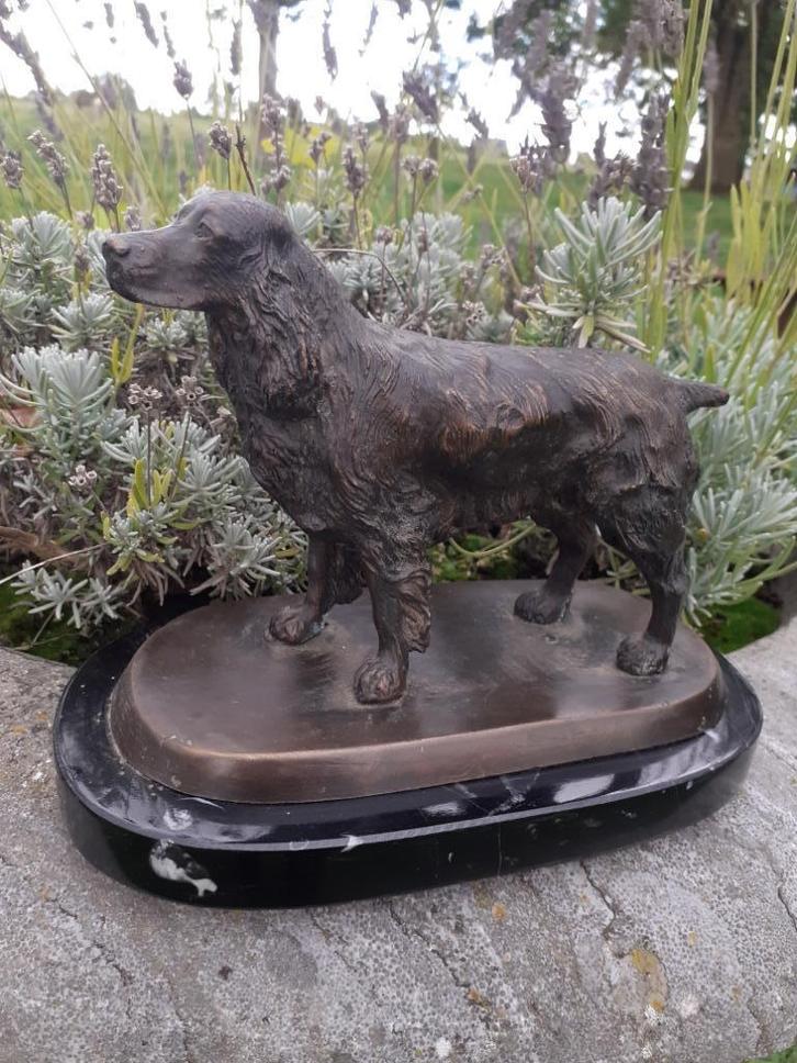 BRONZEN JACHTHOND (springerspaniel) OP BASIS, Antiek en Kunst, Antiek | Brons en Koper, Brons, Ophalen of Verzenden