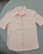 polo Pauline B small nieuw, Kleding | Dames, Maat 38/40 (M), Verzenden, Nieuw, Pauline B