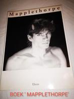 BOEK 'MAPPLETHORPE' 1992, Boeken, Ophalen of Verzenden, Zo goed als nieuw, Robert MAPPLETHORPE, Fotografie algemeen