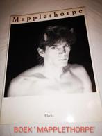 BOEK 'MAPPLETHORPE' 1992, Boeken, Fotografie algemeen, Ophalen of Verzenden, Zo goed als nieuw, Robert MAPPLETHORPE