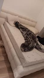 Meubels, Enlèvement, Comme neuf