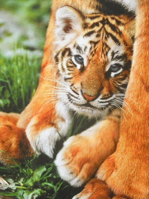 Puzzle petit tigre - 500 pièces, Hobby & Loisirs créatifs, Sport cérébral & Puzzles, Comme neuf, Puzzle, 500 à 1500 pièces, Enlèvement ou Envoi