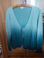 Twinset Mayerline, Kleding | Dames, Grote Maten, Ophalen of Verzenden, Zo goed als nieuw