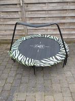 Trampoline exit, Enlèvement