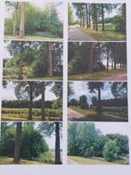 Eiken bos, Immo, Gronden en Bouwgronden