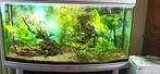 Aquarium, Dieren en Toebehoren, Ophalen, Gebruikt, Gevuld zoetwateraquarium