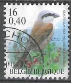 Belgie 2000 - Yvert/OBP 2885 - Grauwe Klauwier (ST), Postzegels en Munten, Postzegels | Europa | België, Verzenden, Gestempeld