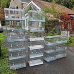 Cage d'élevage des oiseaux de petites tailles, Dieren en Toebehoren, Vogels | Hokken en Kooien, Ophalen, Broedkooi of Kweekkooi