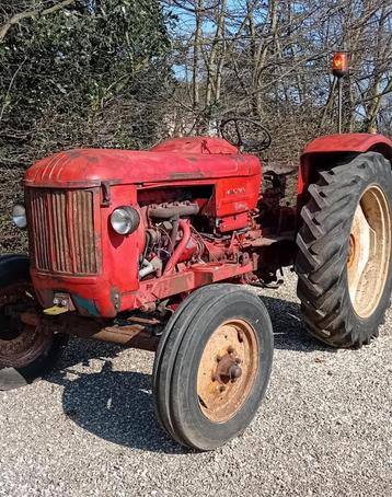 tractor Hanomag Brillant 600  beschikbaar voor biedingen