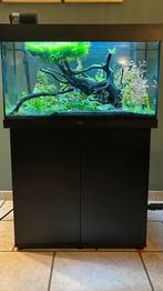 Aquarium Juwel Rio 125 / meuble / distr / Oase, Dieren en Toebehoren, Ophalen, Gebruikt, Leeg aquarium