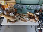 taxidermie, opgezette dieren, Verzamelen, Ophalen, Gebruikt, Overige soorten, Opgezet dier