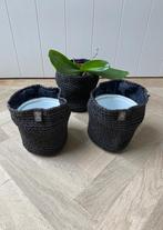 Cache pot, Ophalen of Verzenden