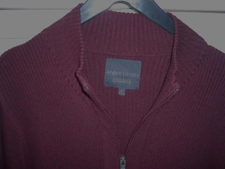 nieuwe bordeaux herentrui - maat L, Kleding | Heren, Truien en Vesten, Nieuw, Overige maten, Overige kleuren, Ophalen of Verzenden