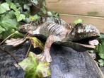 salamander,kado, Tuin en Terras, Nieuw, Ophalen of Verzenden