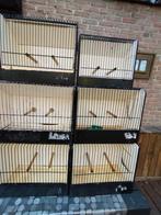 6 Cages, Animaux & Accessoires, Oiseaux | Cages & Volières, Enlèvement, Utilisé