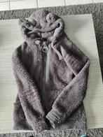 Teddy jas maat S, Kleding | Dames, Jassen | Winter, Ophalen of Verzenden, Gedragen, Maat 36 (S)