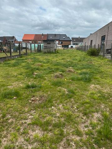 450m2 weide in Nieuwerkerken