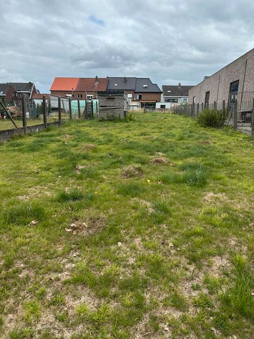 450m2 weide in Nieuwerkerken, Dieren en Toebehoren, Stalling en Weidegang