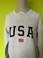 Pull trui grijs America Today - S - als nieuw, Ophalen of Verzenden, Zo goed als nieuw, Maat 36 (S), America Today