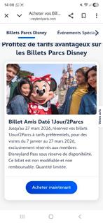 Billets 1 jour 2 parcs nominatifs Disneyland Paris au rabais, Tickets & Billets, Trois personnes ou plus, Ticket ou Carte d'accès