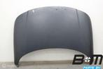 Motorkap Audi TT 8N LY9B 8N0823029A, Gebruikt
