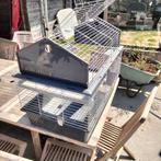Konijnen kooi, Ophalen, Kooi, 60 tot 90 cm, Cavia