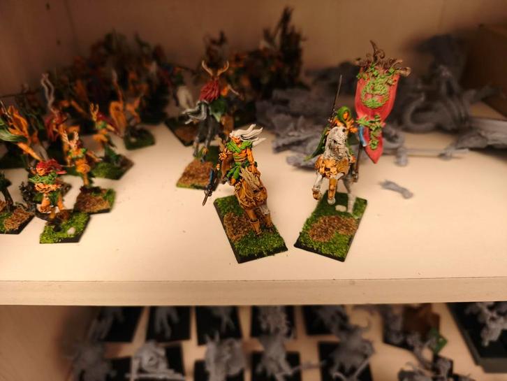 3d wood elves, Hobby & Loisirs créatifs, Wargaming, Utilisé, Warhammer, Enlèvement