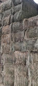 Hooi en stro te koop, Dieren en Toebehoren, Ophalen of Verzenden