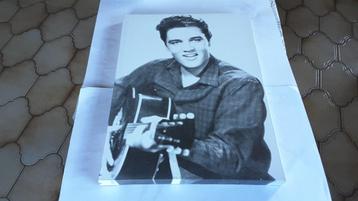 Elvis Presley Canvas beschikbaar voor biedingen