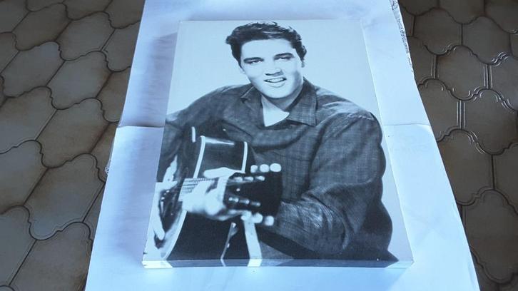 Elvis Presley Canvas, Verzamelen, Film en Tv, Gebruikt, Film, Overige typen, Ophalen of Verzenden